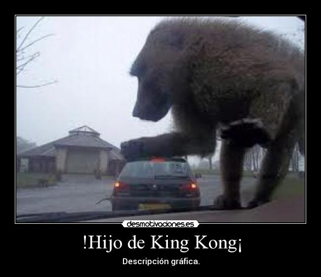 !Hijo de King Kong¡ - Descripción gráfica.