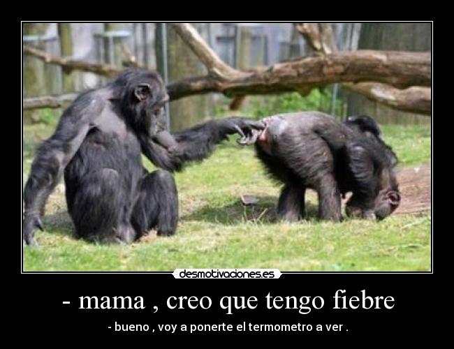 - mama , creo que tengo fiebre - - bueno , voy a ponerte el termometro a ver .