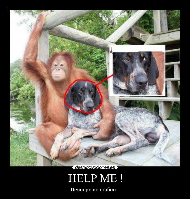 HELP ME ! - 