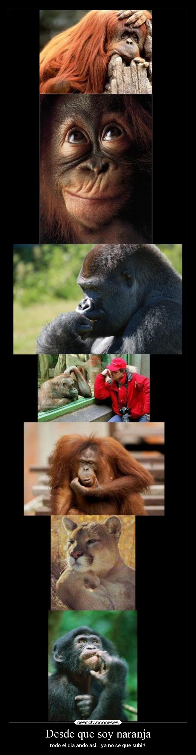 carteles pensar desmotivaciones