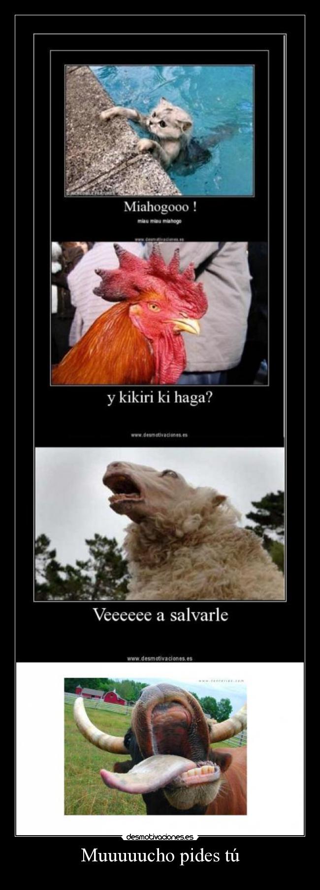 Muuuuucho pides tú - 