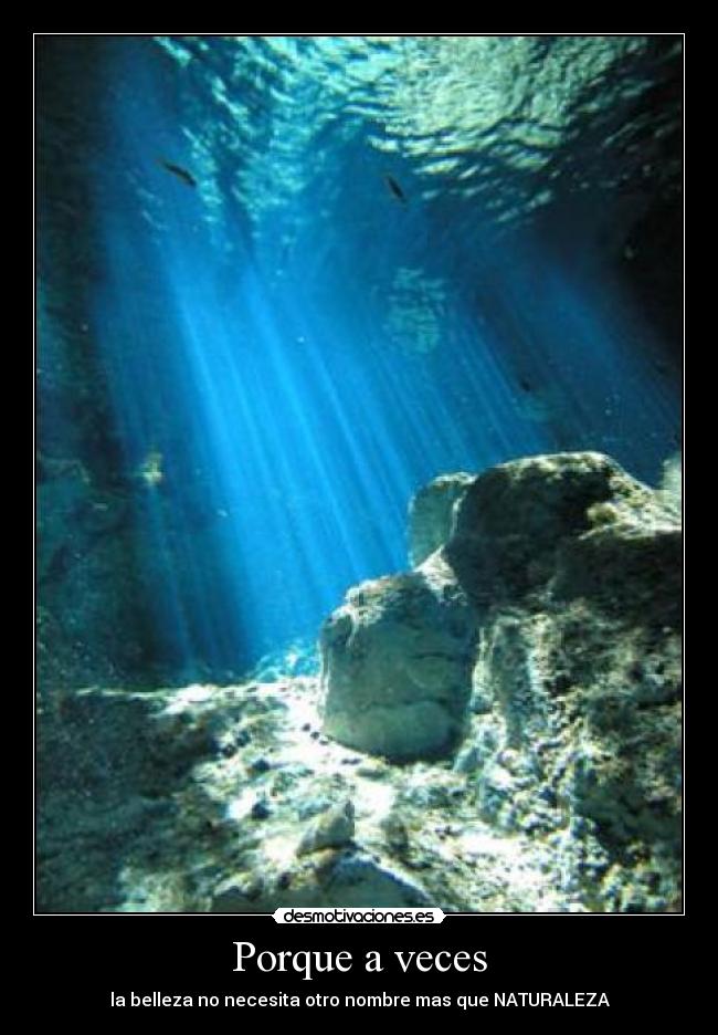 Porque a veces -