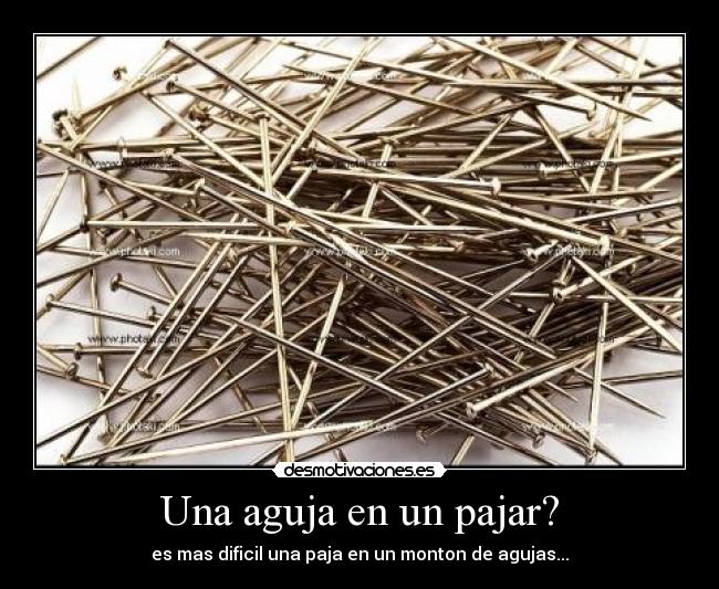 Una aguja en un pajar? - 
