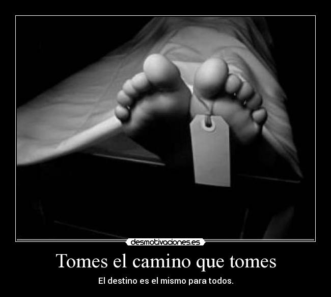 Tomes el camino que tomes -