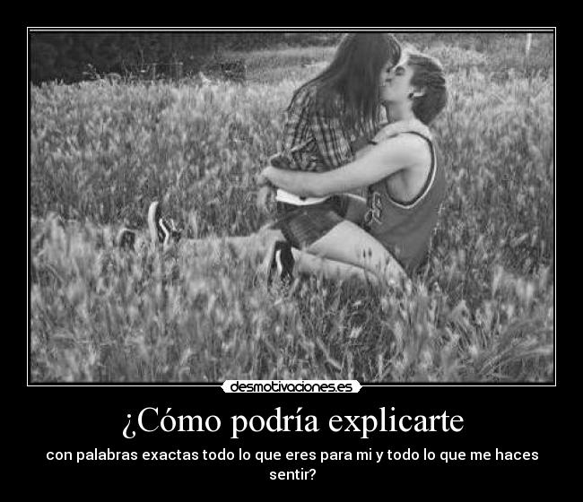 ¿Cómo podría explicarte Desmotivaciones