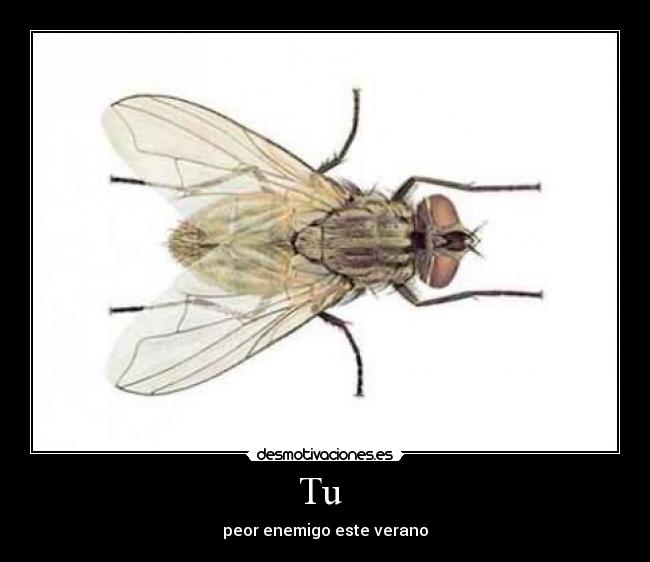 Tu - peor enemigo este verano