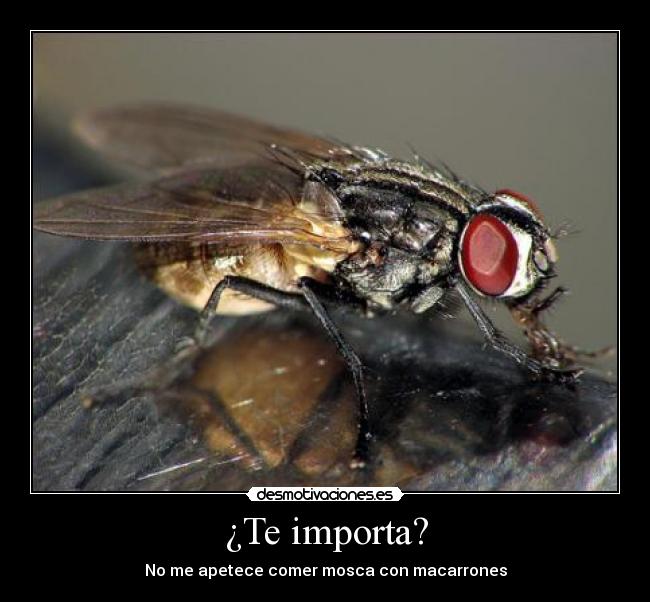 ¿Te importa? - 