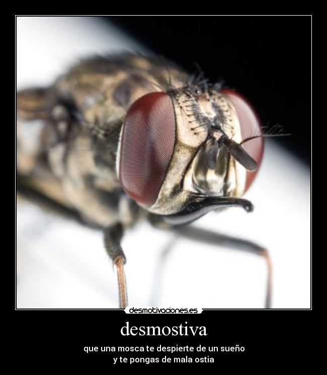 desmostiva - 