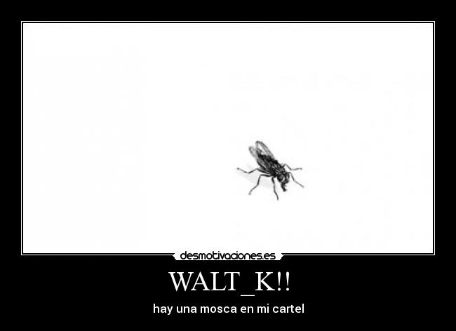 WALT_K!! - 