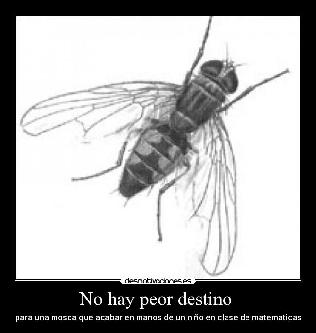 No hay peor destino -