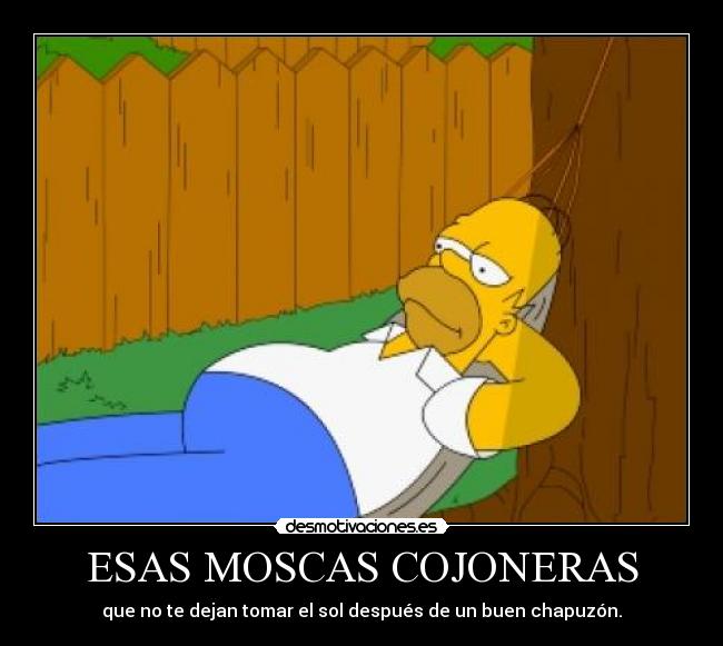 ESAS MOSCAS COJONERAS - 