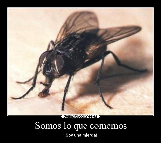 Somos lo que comemos - 