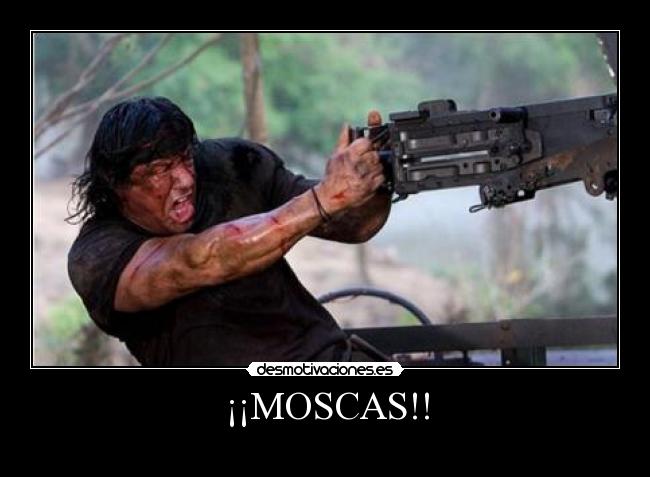 ¡¡MOSCAS!! - 