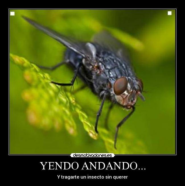 carteles hola espero que guste desmotivaciones