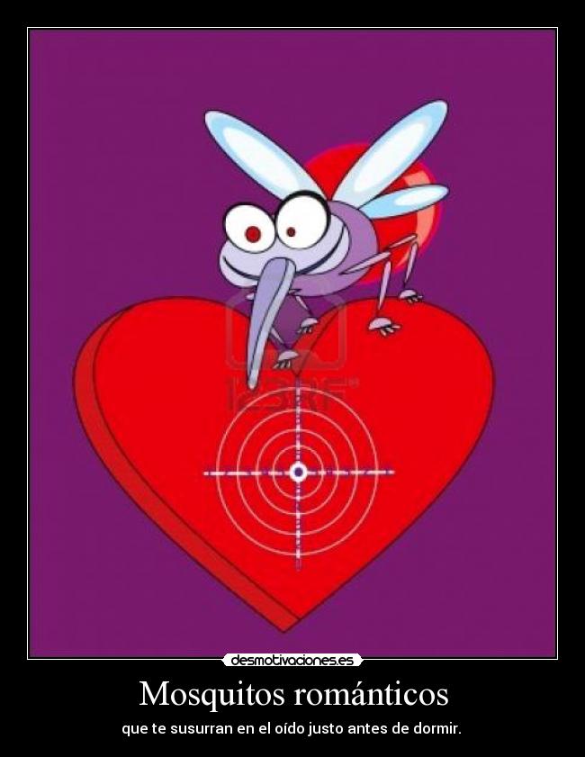 Mosquitos románticos - 