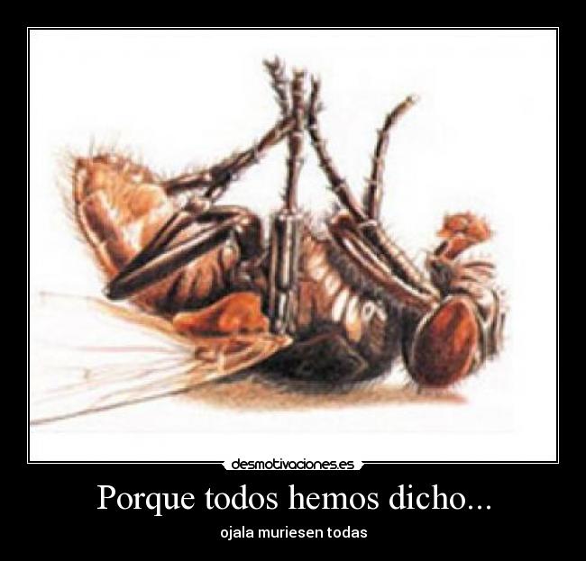 Porque todos hemos dicho... -