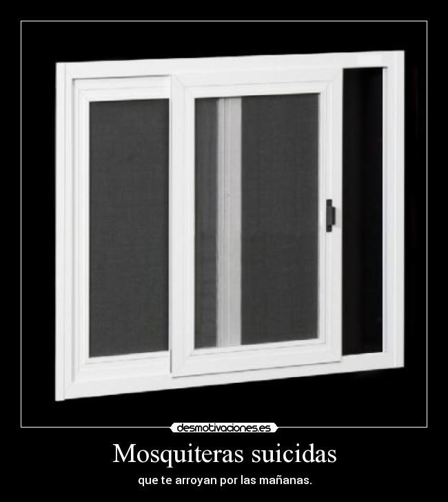 Mosquiteras suicidas - que te arroyan por las mañanas.