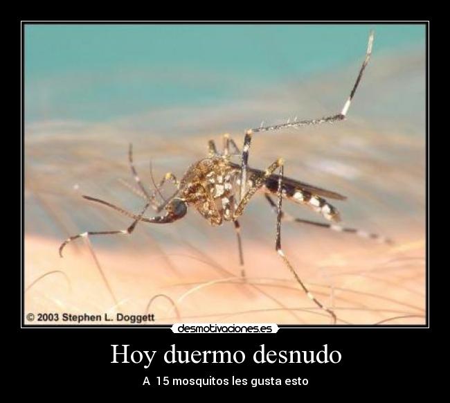 Hoy duermo desnudo -