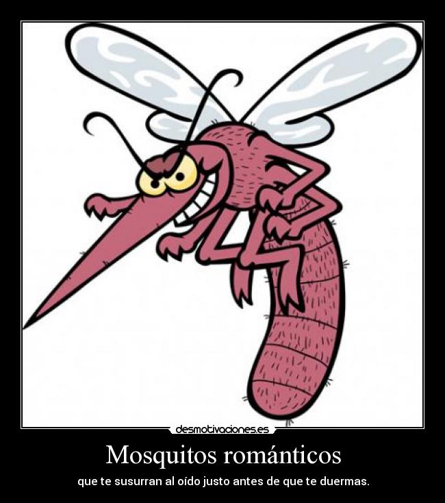 Mosquitos románticos - 