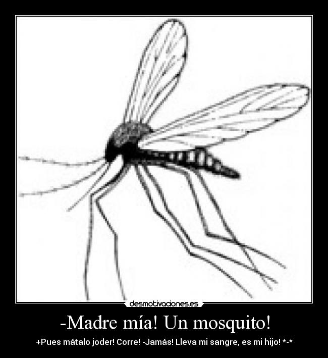 -Madre mía! Un mosquito! - +Pues mátalo joder! Corre! -Jamás! Lleva mi sangre, es mi hijo! *-*