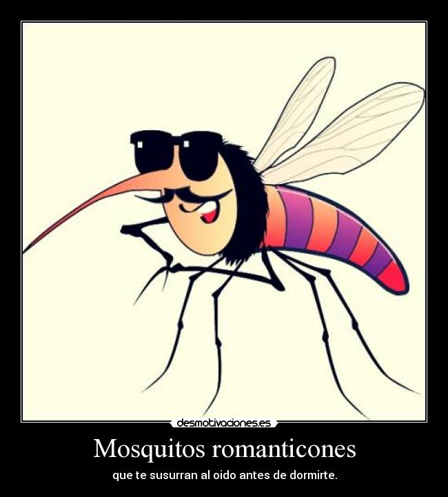Mosquitos romanticones - 