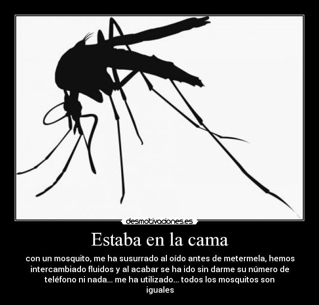 Estaba en la cama - con un mosquito, me ha susurrado al oído antes de metermela, hemos
intercambiado fluidos y al acabar se ha ido sin darme su número de
teléfono ni nada... me ha utilizado... todos los mosquitos son
iguales