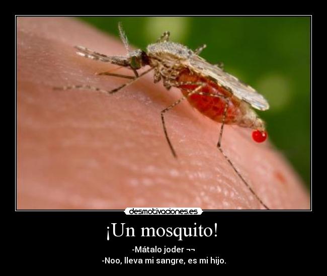 ¡Un mosquito!  - 