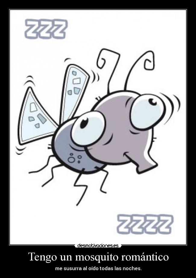 Tengo un mosquito romántico - me susurra al oído todas las noches.