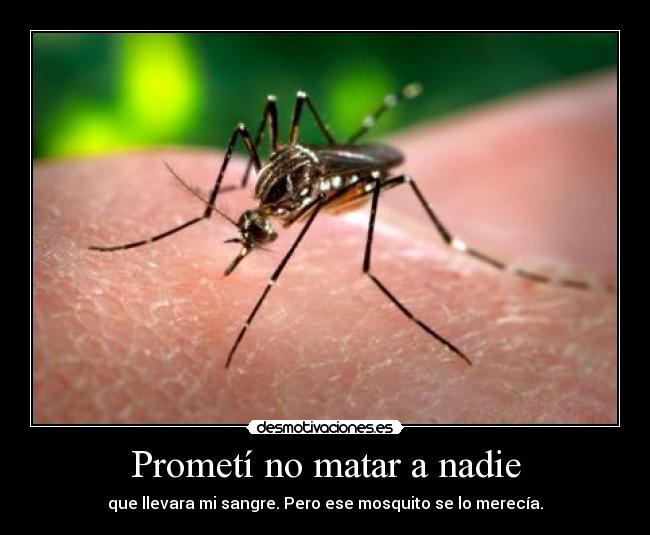 Prometí no matar a nadie -