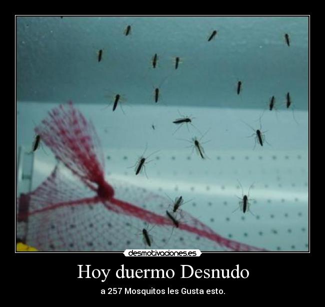Hoy duermo Desnudo - 