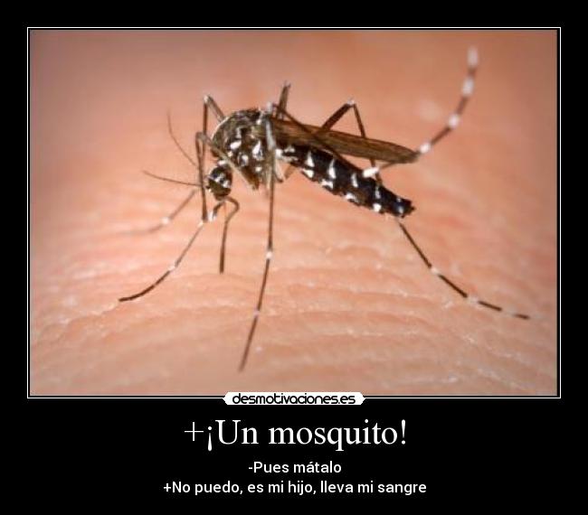 +¡Un mosquito! - -Pues mátalo
+No puedo, es mi hijo, lleva mi sangre