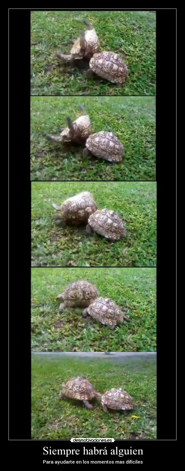 Siempre habrá alguien - Para ayudarte en los momentos mas difíciles