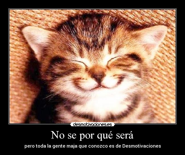 No se por qué será - pero toda la gente maja que conozco es de Desmotivaciones