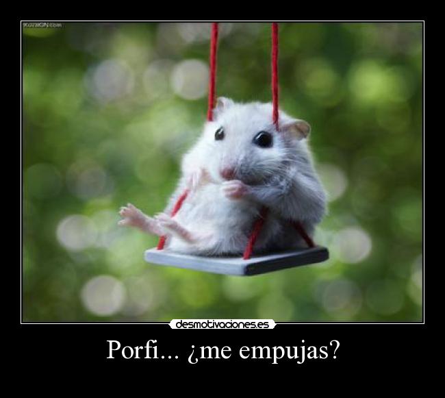 carteles porfi desmotivaciones