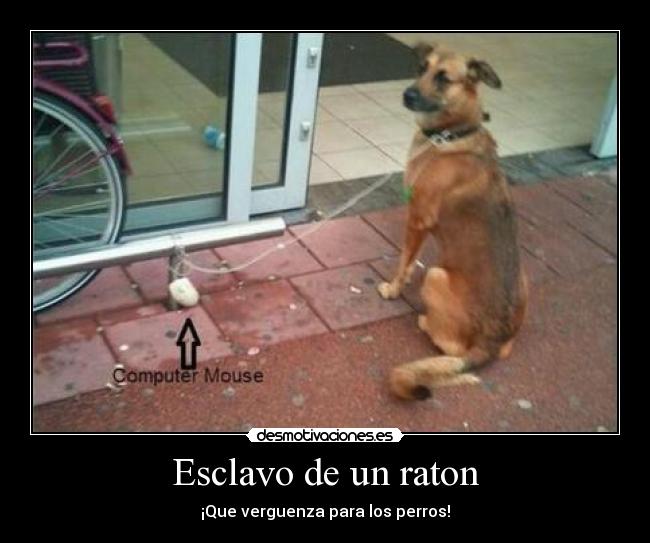 Esclavo de un raton -