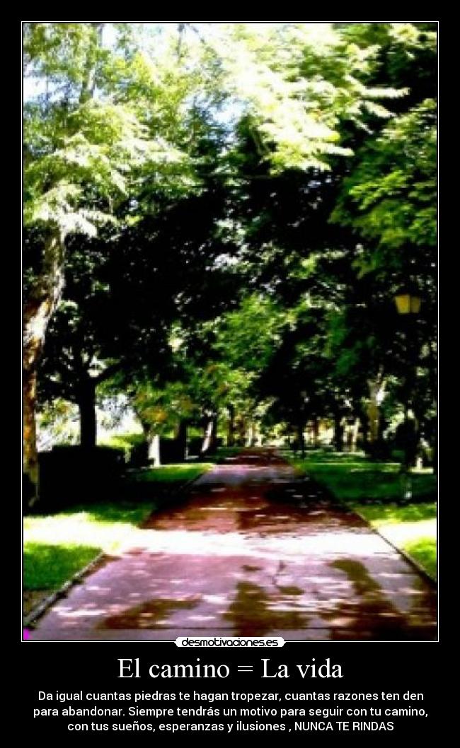 El camino = La vida - Da igual cuantas piedras te hagan tropezar, cuantas razones ten den
para abandonar. Siempre tendrás un motivo para seguir con tu camino,
con tus sueños, esperanzas y ilusiones , NUNCA TE RINDAS