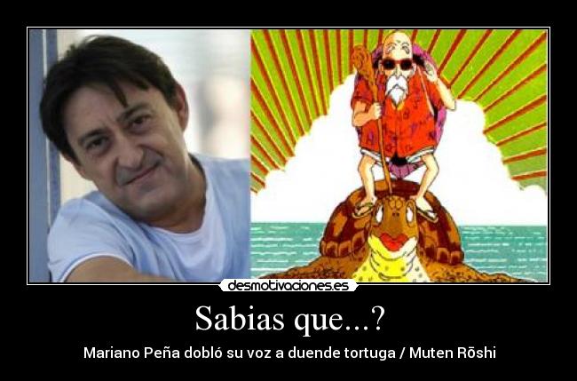 carteles mariano pena dragon ball duende tortuga desmotivaciones