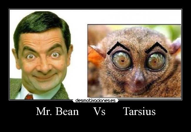 Mr. Bean Vs Tarsius -