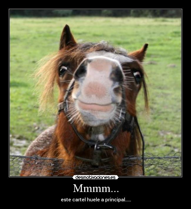 Mmmm... - este cartel huele a principal.....