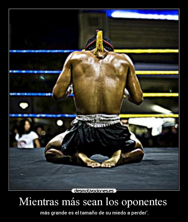 carteles muay thai desmotivaciones