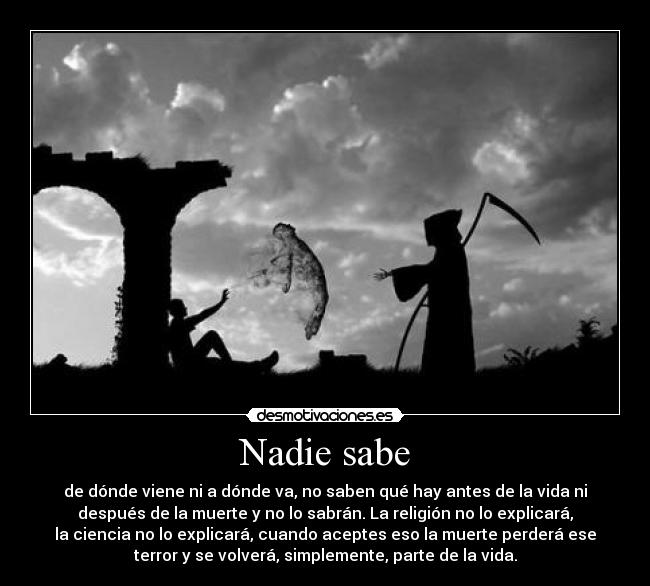 Nadie sabe -