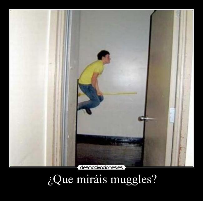 carteles que mirais muggles desmotivaciones