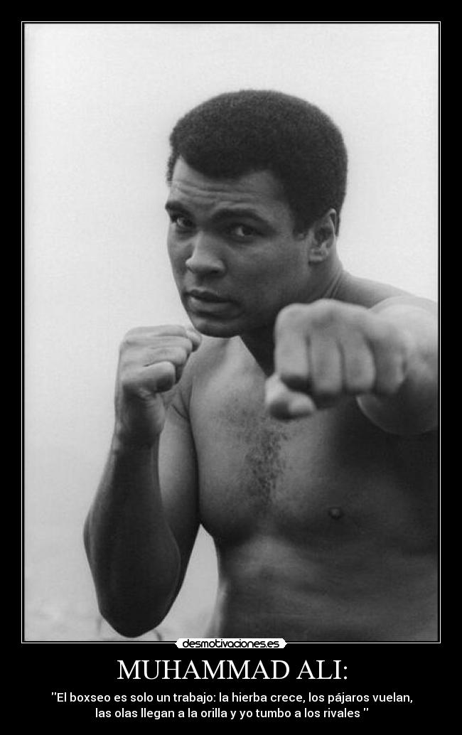 MUHAMMAD ALI: - El boxseo es solo un trabajo: la hierba crece, los pájaros vuelan,
las olas llegan a la orilla y yo tumbo a los rivales
