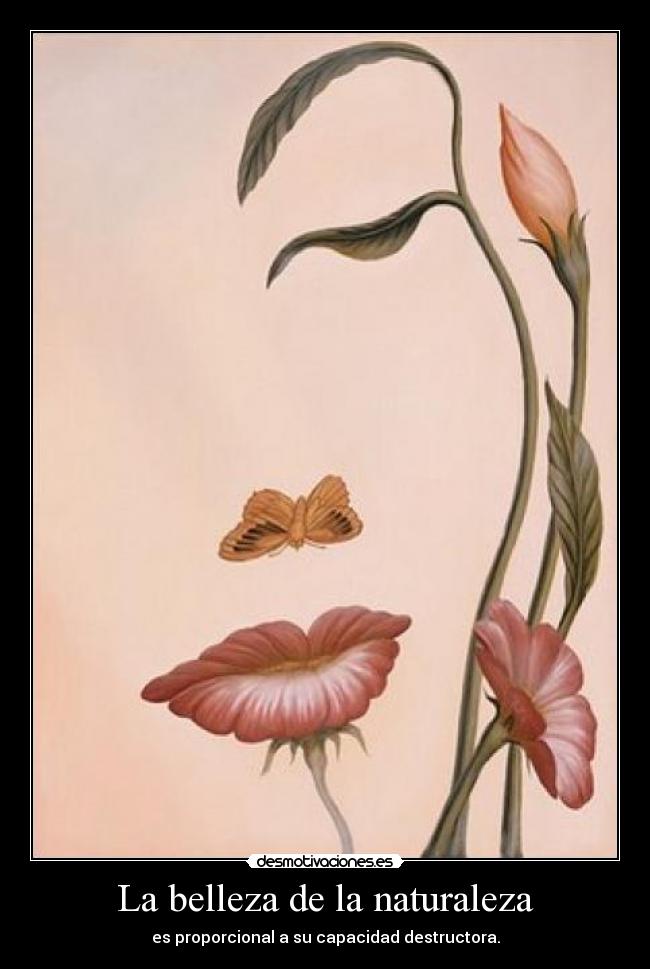 La belleza de la naturaleza - es proporcional a su capacidad destructora.