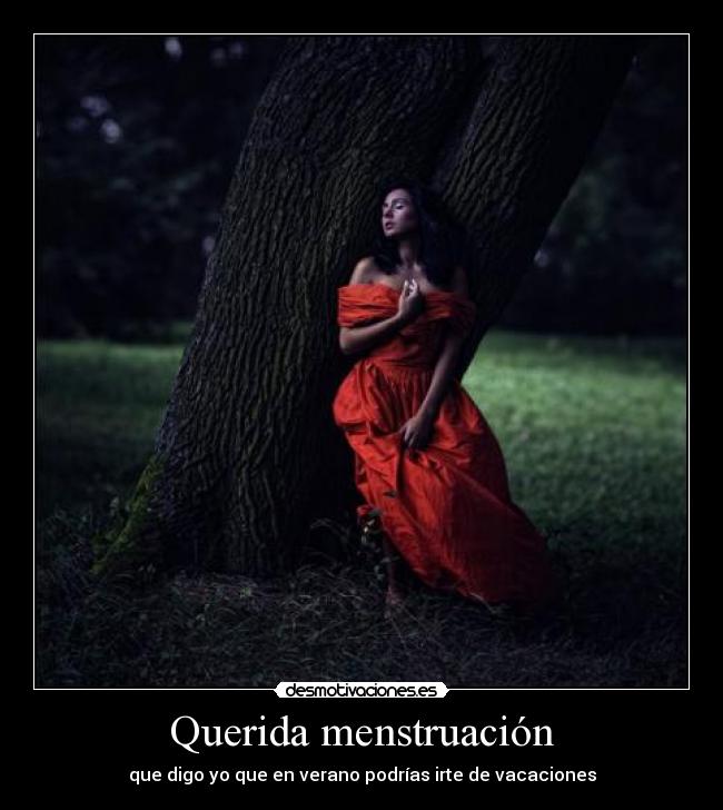 Querida menstruación - 