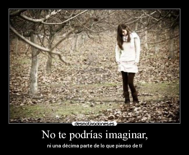 No te podrías imaginar, - 