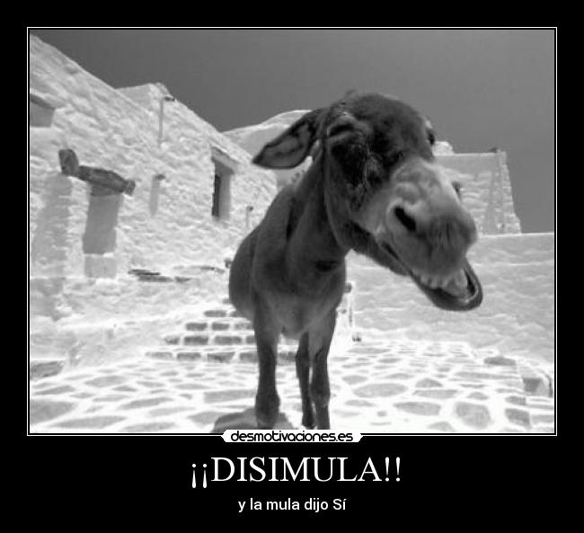 ¡¡DISIMULA!! - 