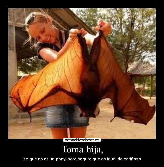 Toma hija, - se que no es un pony, pero seguro que es igual de cariñoso