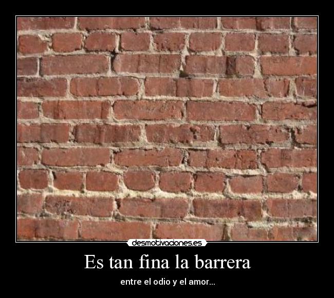 Es tan fina la barrera - 
