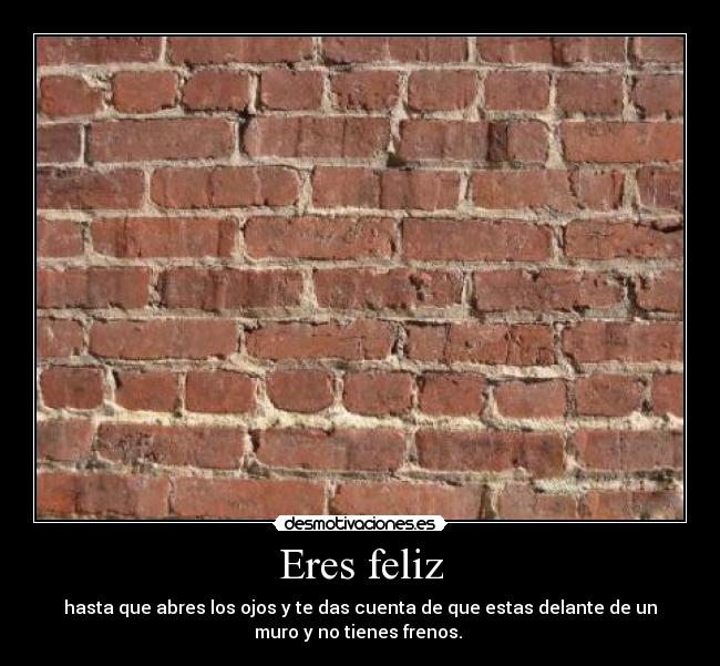 Eres feliz - hasta que abres los ojos y te das cuenta de que estas delante de un
muro y no tienes frenos. 